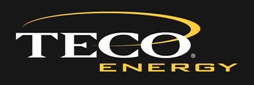 TECO Energy SIDEBAR